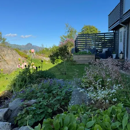 Siro Lofoten Kabelvåg