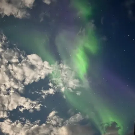 Siro Lofoten