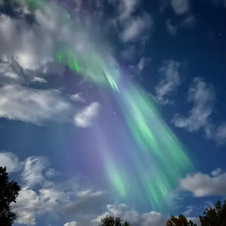 Siro Lofoten Lägenhet